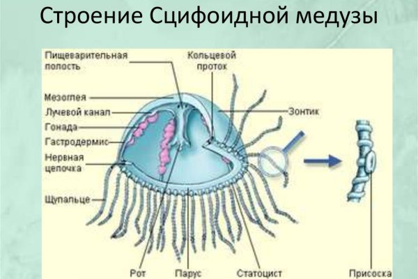 Кракен торговая площадка